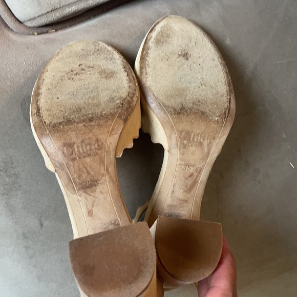 Chloe - Picture 4 of 6